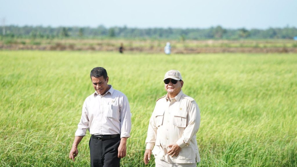 Penegasan keberhasilan swasembada beras Indonesia tahun 2026