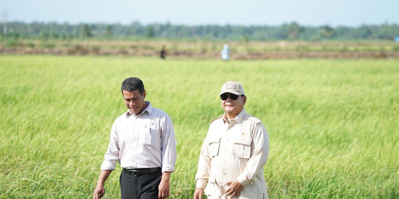 Penegasan Swasembada Beras Indonesia Di Era Prabowo