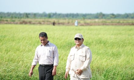 Penegasan Swasembada Beras Indonesia Di Era Prabowo