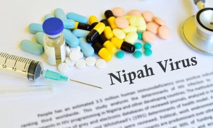 Dinas Kesehatan Sumut Tingkatkan Kewaspadaan Virus Nipah