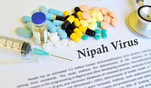 Dinas Kesehatan Sumut Tingkatkan Kewaspadaan Virus Nipah
