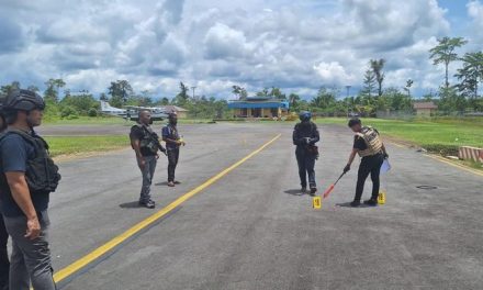 Pilot-Kopilot Smart Air Sempat Kabur Sebelum Ditembak KKB