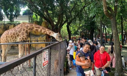 Kebun Binatang Surabaya Ramai Saat Libur Lebaran 2026