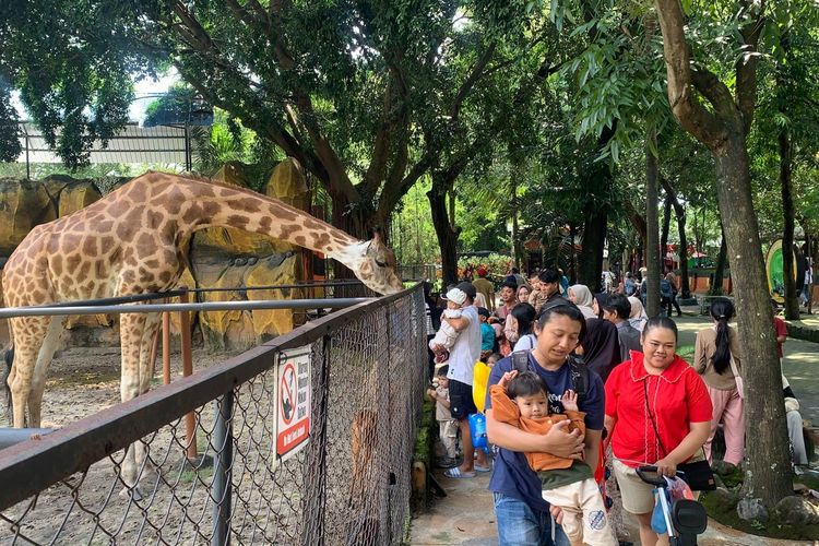Kebun Binatang Surabaya Ramai Saat Libur Lebaran 2026