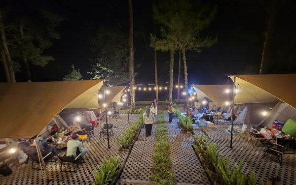 Lembayung Pinus Ciwidey, Wisata Camping Hits Bandung Selatan