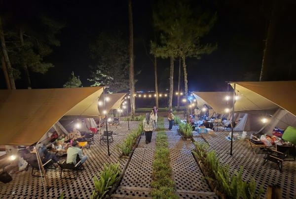 Lembayung Pinus Ciwidey, Wisata Camping Hits Bandung Selatan