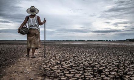 El Nino 2026 Picu Kemarau Panjang, Ini Peringatan BMKG