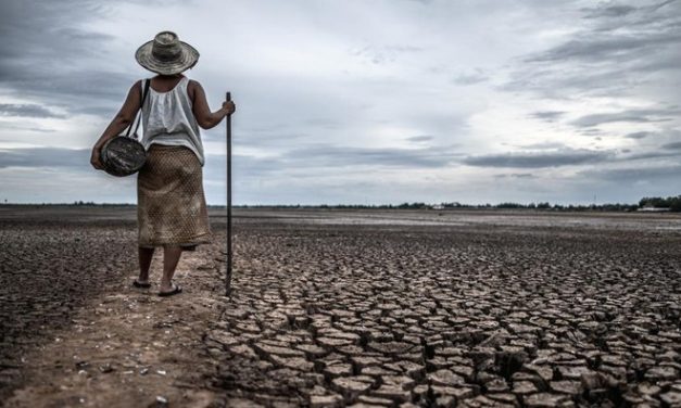 El Nino 2026 Picu Kemarau Panjang, Ini Peringatan BMKG
