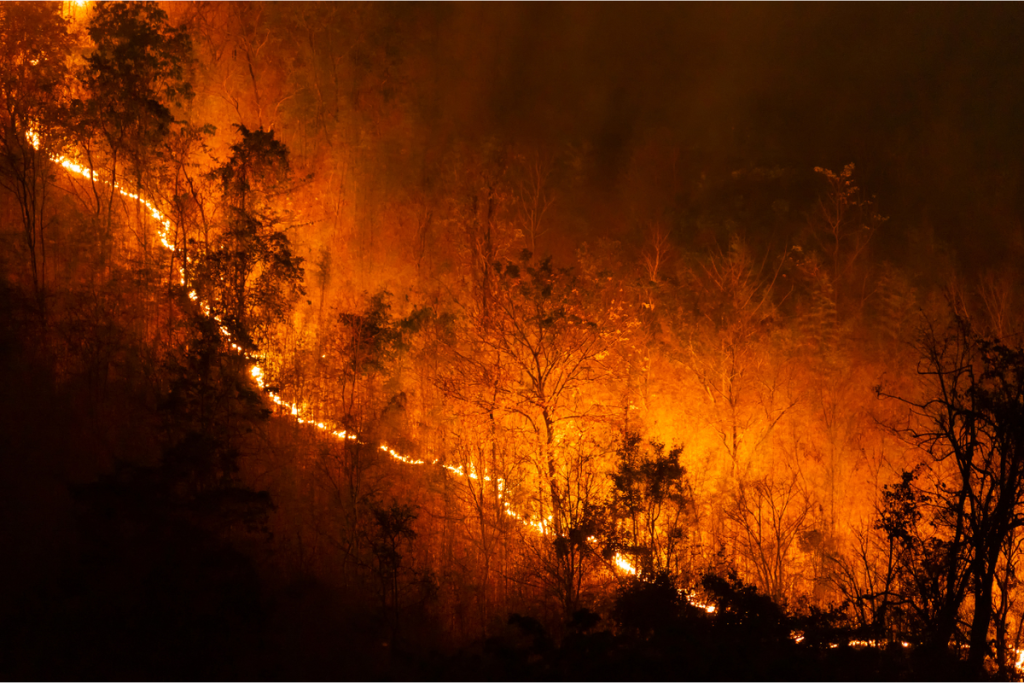Petugas pemadam kebakaran berupaya mengendalikan kebakaran hutan besar di Perancis dan Spanyol yang menyebabkan ratusan ribu warga mengungsi.