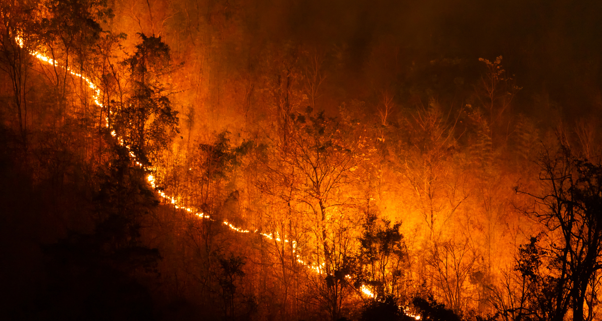 Kebakaran Hutan Eropa Makin Ganas, Ribuan Warga Mengungsi