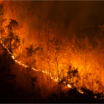 Kebakaran Hutan Eropa Makin Ganas, Ribuan Warga Mengungsi