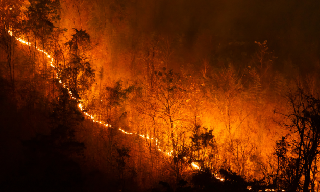 Kebakaran Hutan Eropa Makin Ganas, Ribuan Warga Mengungsi