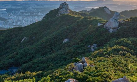 Gunung Mindung Viral, Pesona Alam Korea Selatan yang Memikat