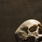 Makam Berusia 400 Tahun di Polandia Ungkap Ritual Mengerikan Pencegah Vampir