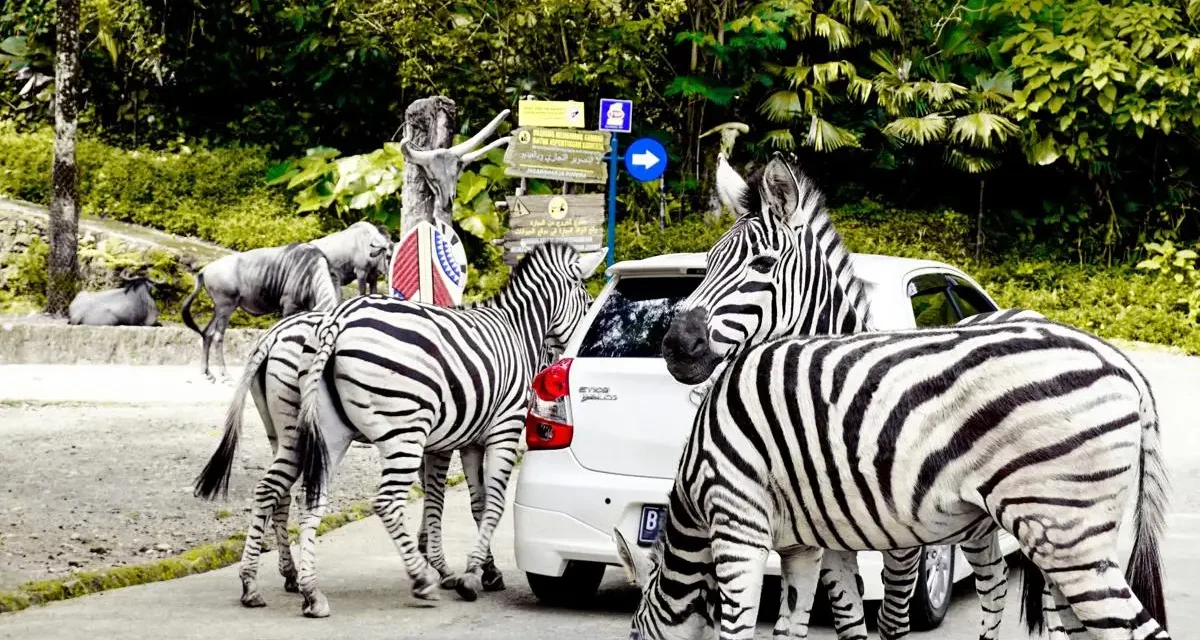 5 Tempat Wisata Dekat Jakarta yang Cocok untuk Liburan Akhir Pekan