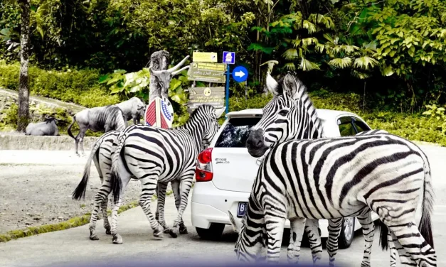5 Tempat Wisata Dekat Jakarta yang Cocok untuk Liburan Akhir Pekan